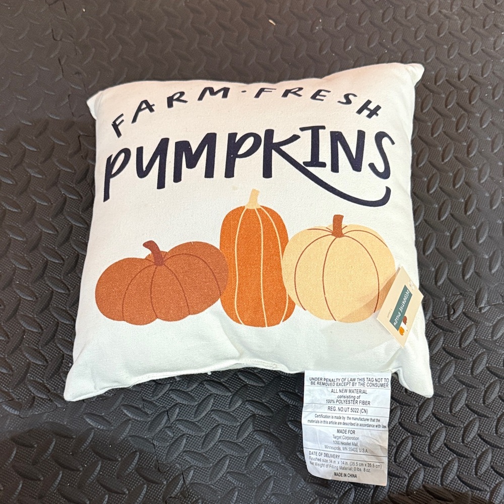 Target Bullseye Playground Farm Fresh Pumpkin Decorative Fall Pillow NEW